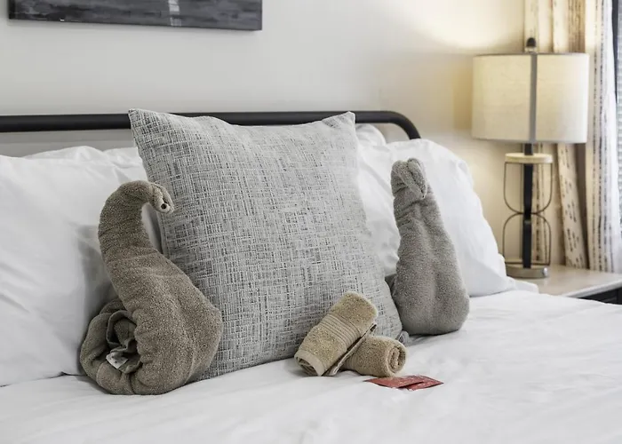Holiday home Pet Friendly 3br 2bath Luxe Gem Fort Worth