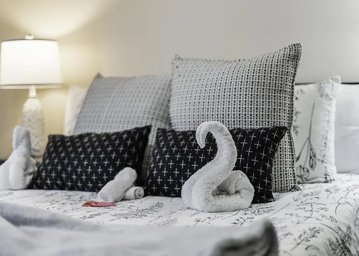 Pet Friendly 3br 2bath Luxe Gem Fort Worth