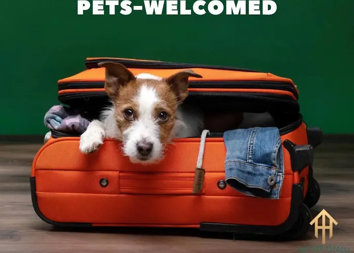 Holiday home Pet Friendly 3br 2bath Luxe Gem